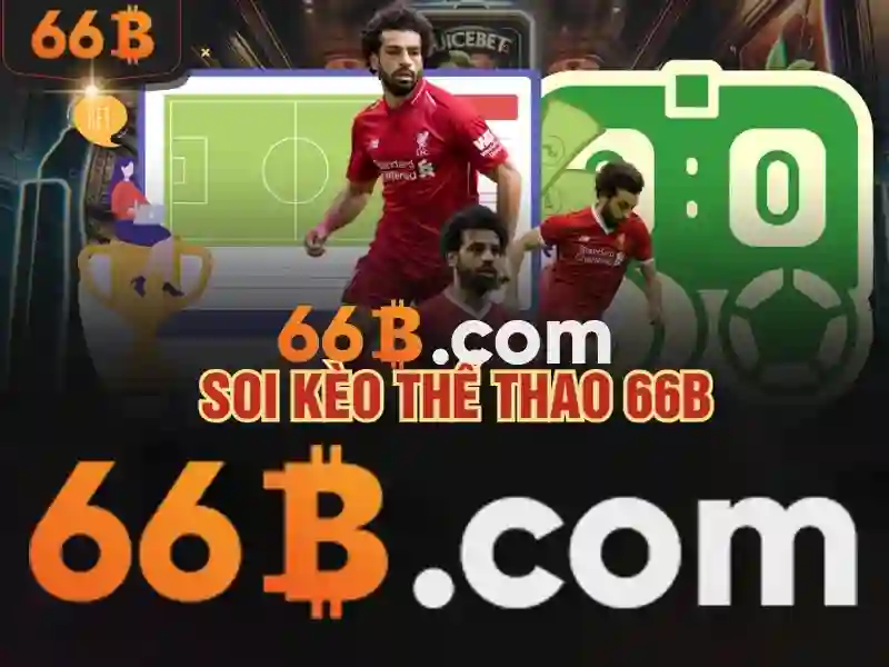 Cách hoạt động của 66B