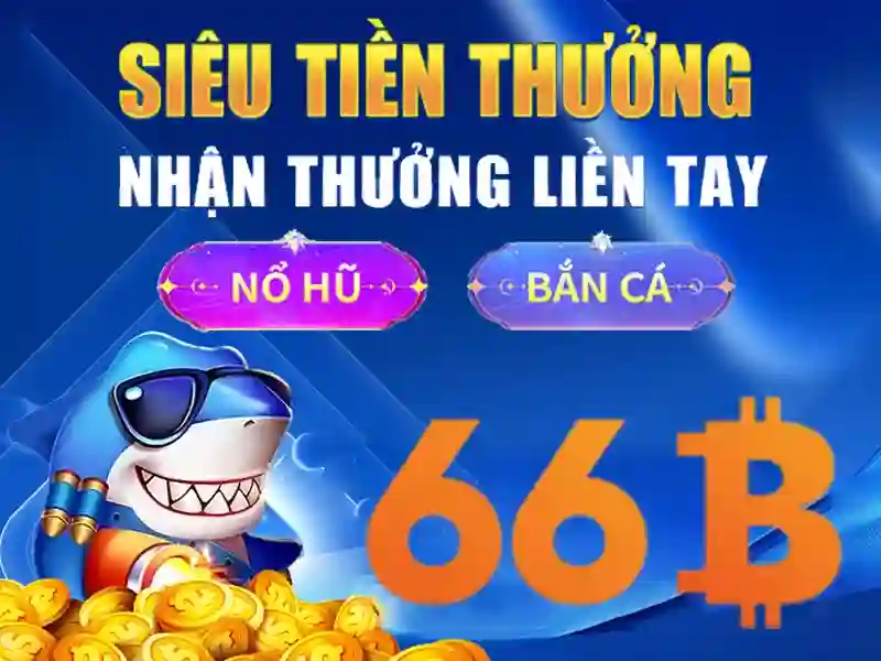 Biểu đồ kích thước 66b và ý nghĩa