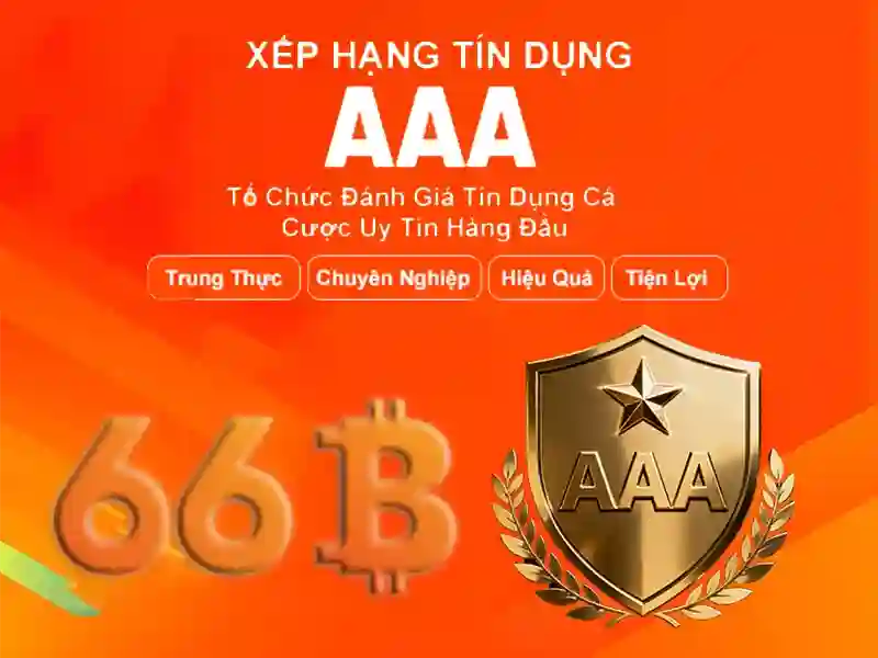 Cấu tạo của 66B