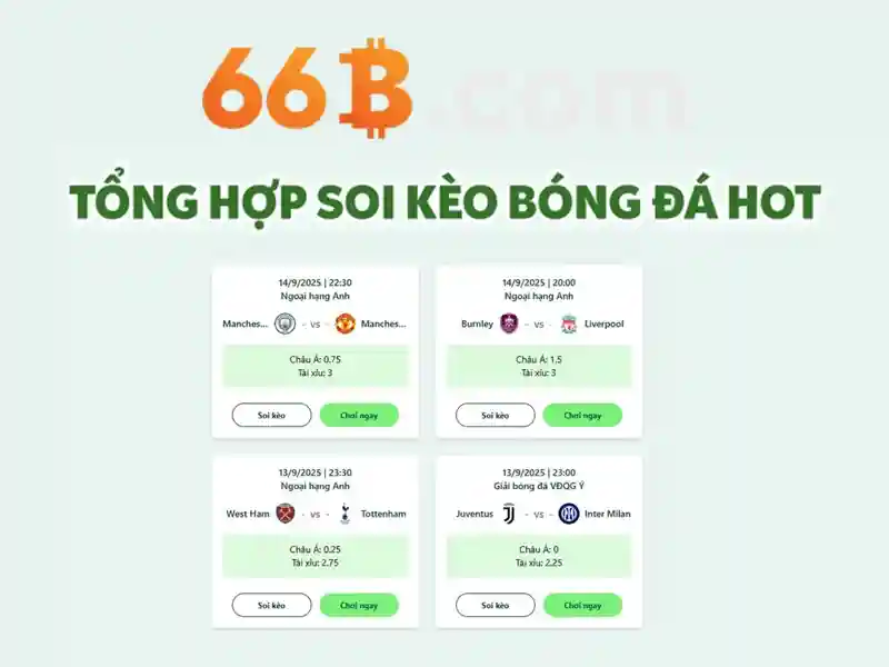 66B: một mô hình ngôn ngữ lớn và tương lai của AI